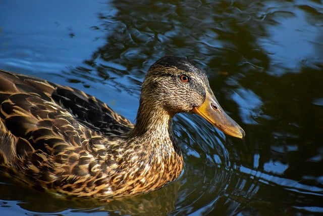 Når du sidder fast: Smarte strategier til at komme videre i krydsord